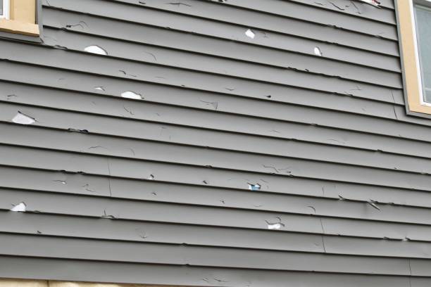 Best Fiber Cement Siding Installation  in Decatur, AL
